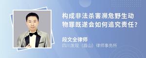 構成非法殺害瀕危野生動物罪既遂會如何追究責任?