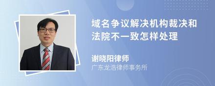 域名爭議解決機構(gòu)裁決和法院不一致怎樣處理