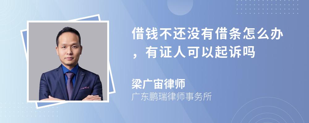 借錢不還沒有借條怎么辦，有證人可以起訴嗎