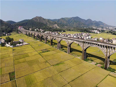 宅基地确权有争议如何解决