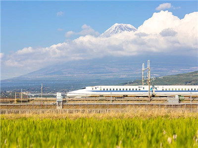 宅基地使用权法院可以保全吗