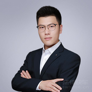辽中区律师-刘成琳律师