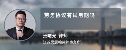 劳务协议有试用期吗