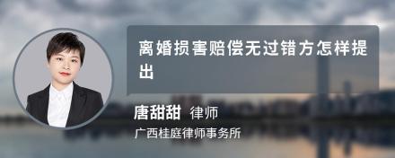 离婚损害赔偿无过错方怎样提出