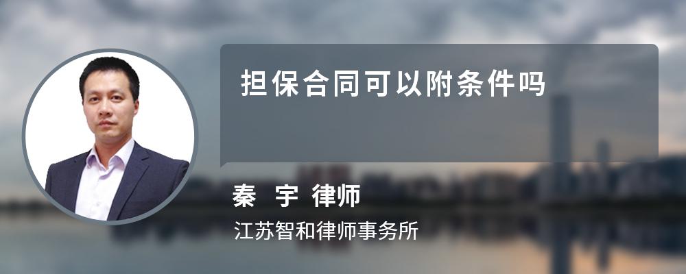 担保合同可以附条件吗