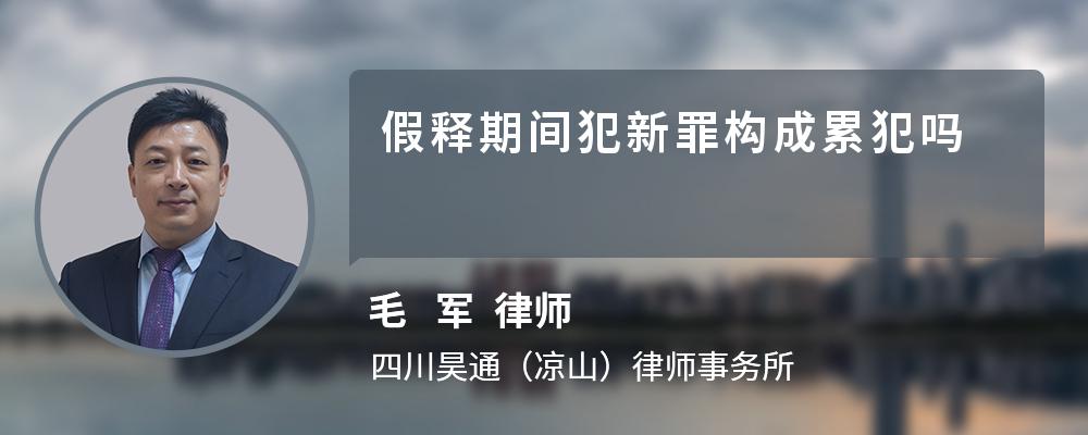 假释期间犯新罪构成累犯吗