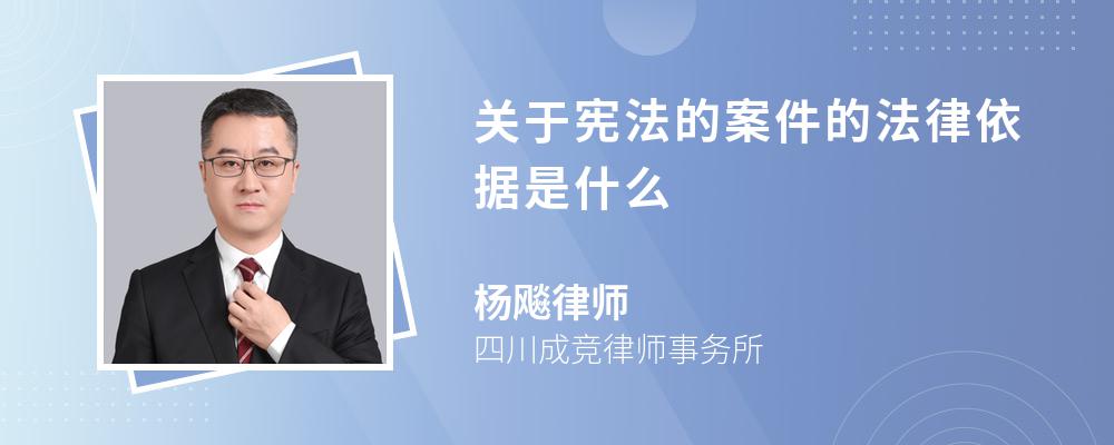 关于宪法的案件的法律依据是什么