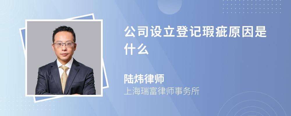 公司设立登记瑕疵原因是什么