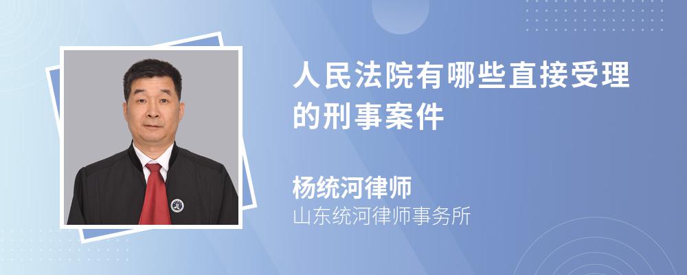 人民法院有哪些直接受理的刑事案件