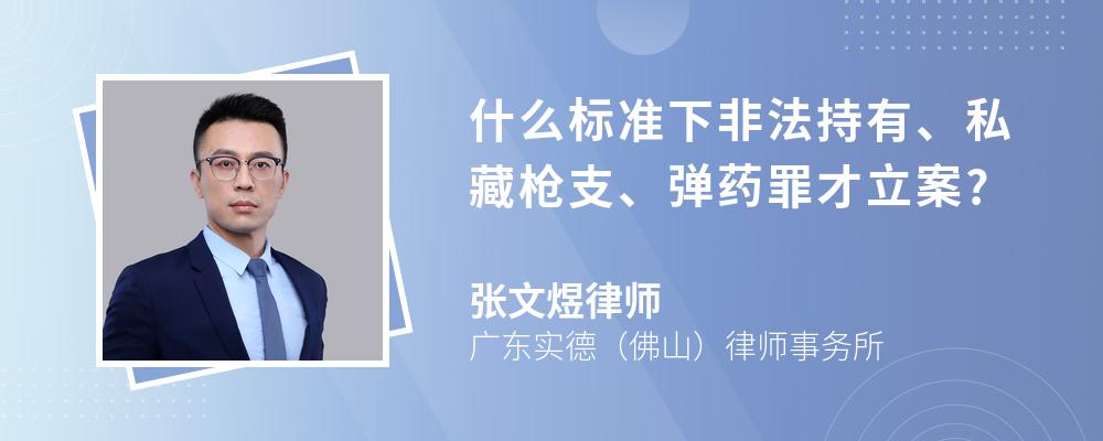 什么标准下非法持有、私藏枪支、弹药罪才立案?