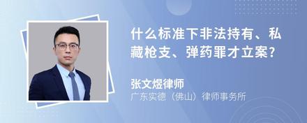 什么标准下非法持有、私藏枪支、弹药罪才立案?