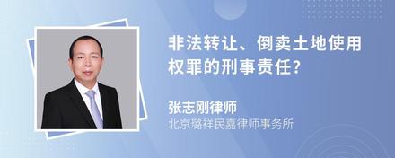 非法转让、倒卖土地使用权罪的刑事责任?