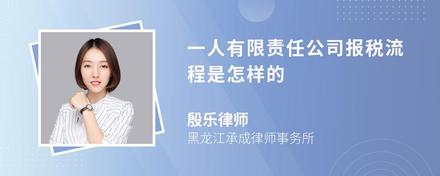 一人有限责任公司报税流程是怎样的