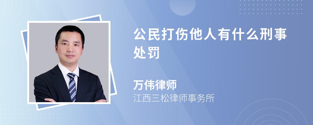 公民打伤他人有什么刑事处罚