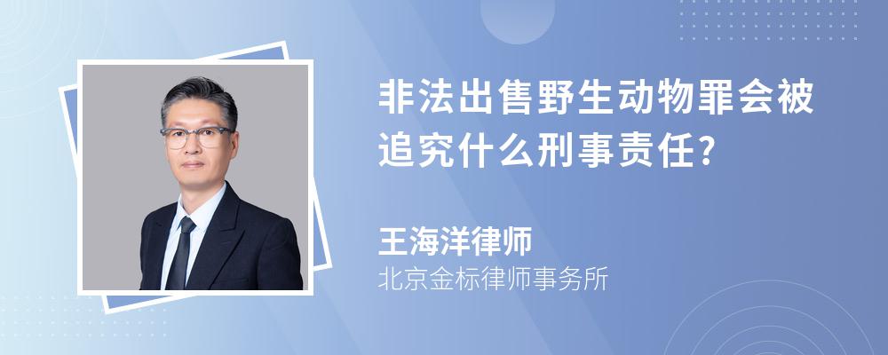 非法出售野生动物罪会被追究什么刑事责任?