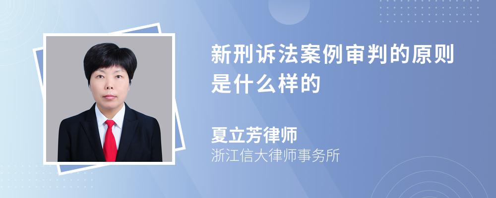 新刑诉法案例审判的原则是什么样的