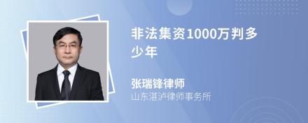 非法集资1000万判多少年