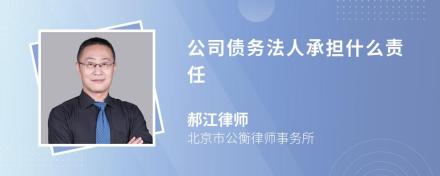 公司债务法人承担什么责任