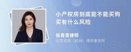 小产权房到底能不能买购买有什么风险