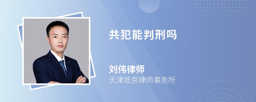 共犯能判刑吗