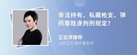 非法持有、私藏枪支、弹药罪既遂判刑规定?