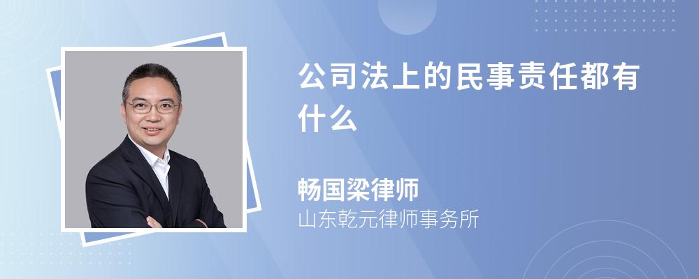 公司法上的民事责任都有什么