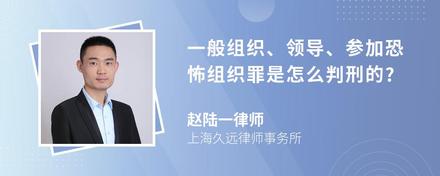 一般组织、领导、参加恐怖组织罪是怎么判刑的?