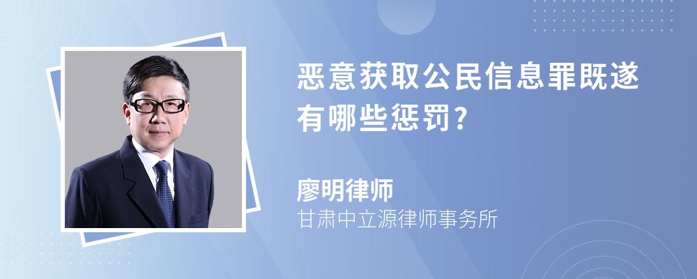 恶意获取公民信息罪既遂有哪些惩罚?