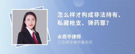 怎么样才构成非法持有、私藏枪支、弹药罪?