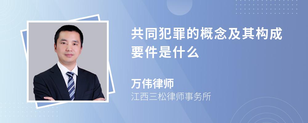 共同犯罪的概念及其构成要件是什么