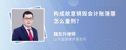 构成故意销毁会计账簿罪怎么量刑?