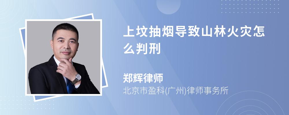 上坟抽烟导致山林火灾怎么判刑