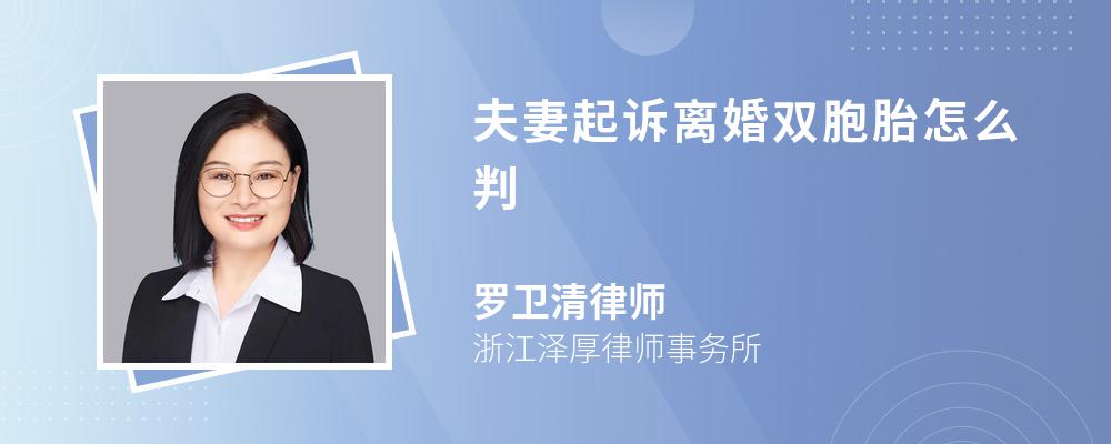 夫妻起诉离婚双胞胎怎么判