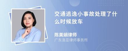 交通逃逸小事故处理了什么时候放车