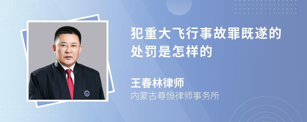 犯重大飞行事故罪既遂的处罚是怎样的