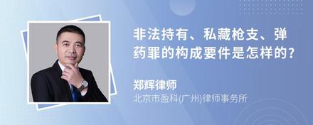 非法持有、私藏枪支、弹药罪的构成要件是怎样的?