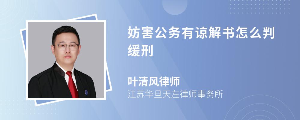 妨害公务有谅解书怎么判缓刑