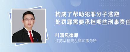 构成了帮助犯罪分子逃避处罚罪需要承担哪些刑事责任