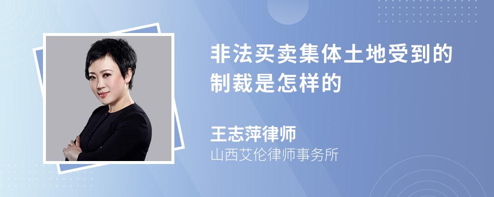 非法买卖集体土地受到的制裁是怎样的