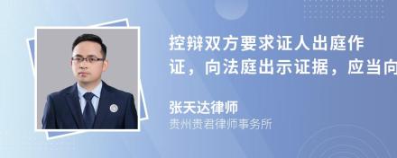 控辩双方要求证人出庭作证，向法庭出示证据，应当向审判长说明什么呢