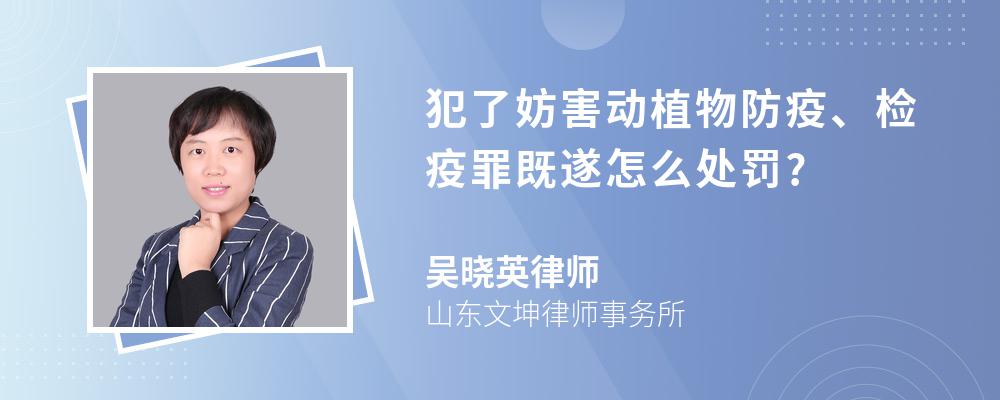 犯了妨害动植物防疫、检疫罪既遂怎么处罚?