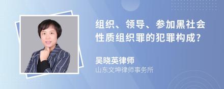 组织、领导、参加黑社会性质组织罪的犯罪构成?