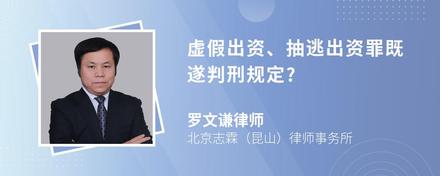 虚假出资、抽逃出资罪既遂判刑规定?