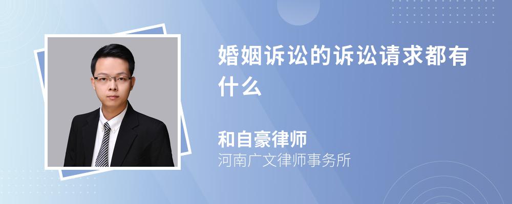 婚姻诉讼的诉讼请求都有什么