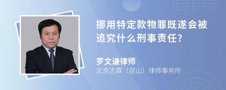 挪用特定款物罪既遂会被追究什么刑事责任?