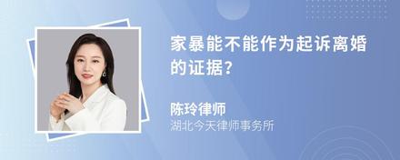 家暴能不能作为起诉离婚的证据？