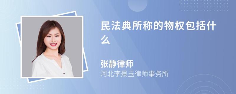 民法典所称的物权包括什么