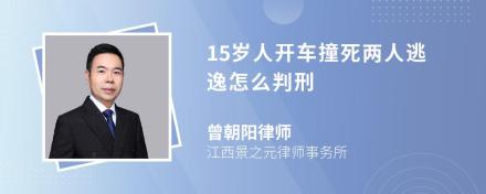 15岁人开车撞死两人逃逸怎么判刑