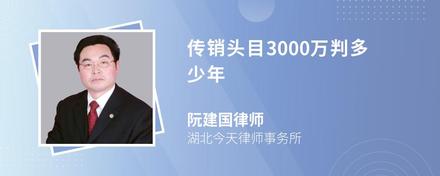 传销头目3000万判多少年