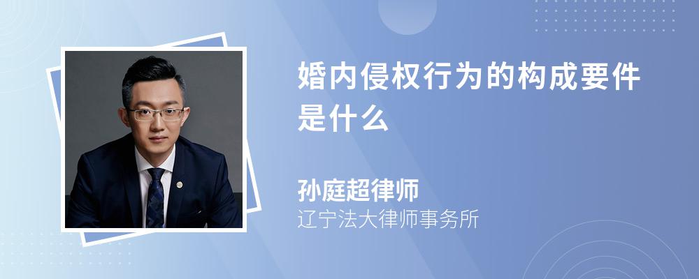 婚内侵权行为的构成要件是什么